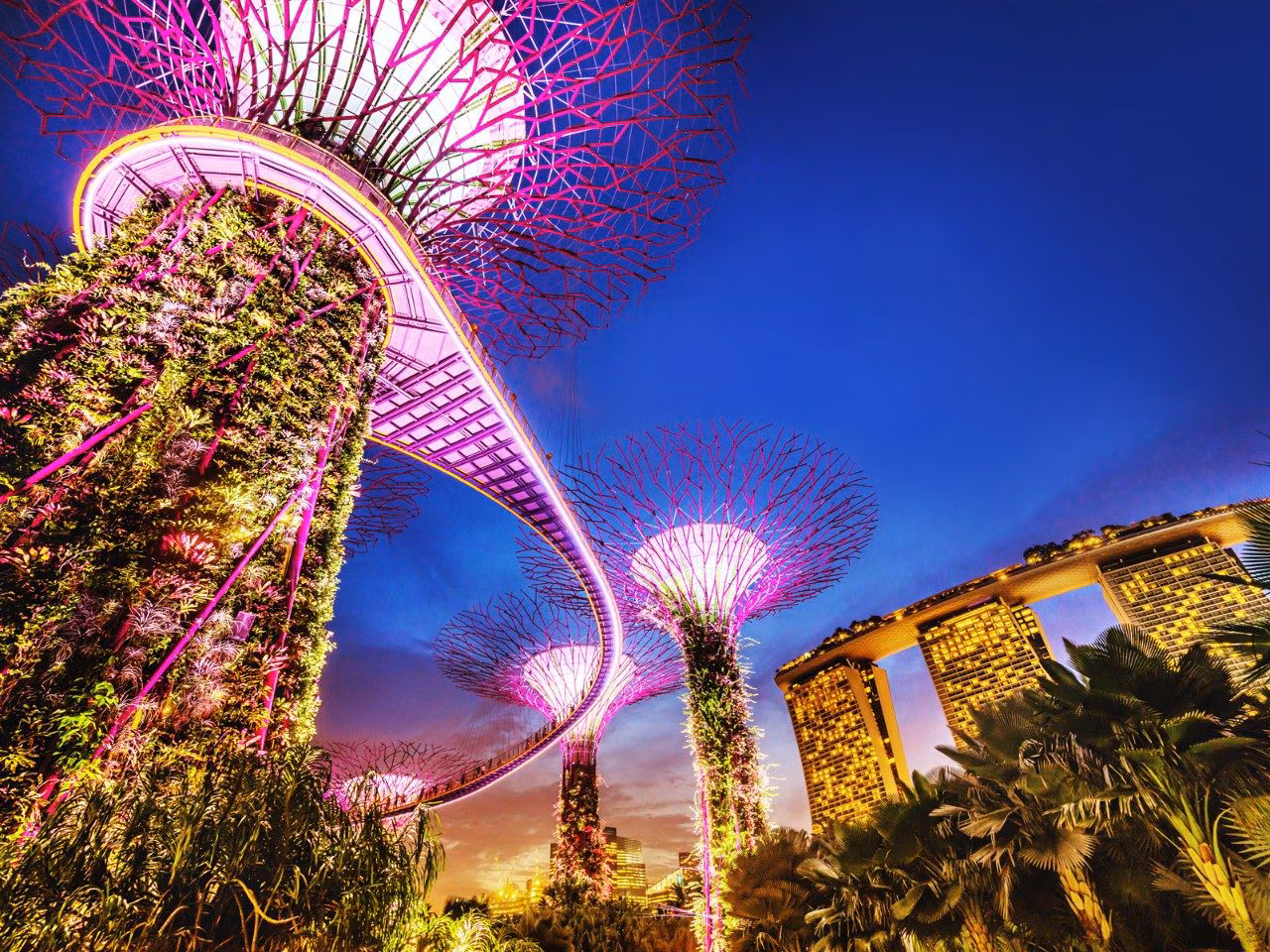 How To Experience Singapore By Night