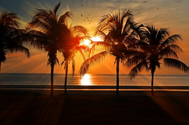 Tropical Sunset Photo stock libre