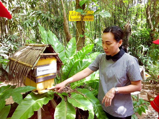 big bee farm pattaya thailand