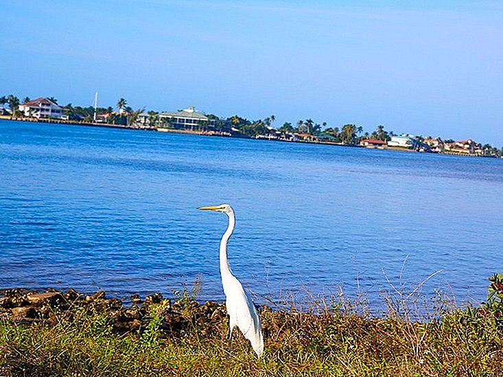 ☆ Ghé thăm đảo Marco ở Tây Nam Florida Mười Mười Quần đảo