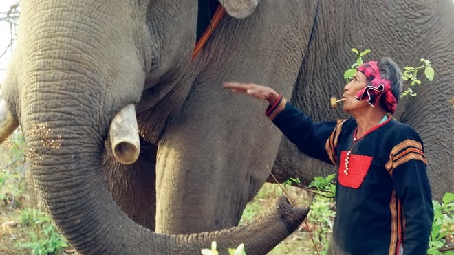 Di sản của Vua voi 