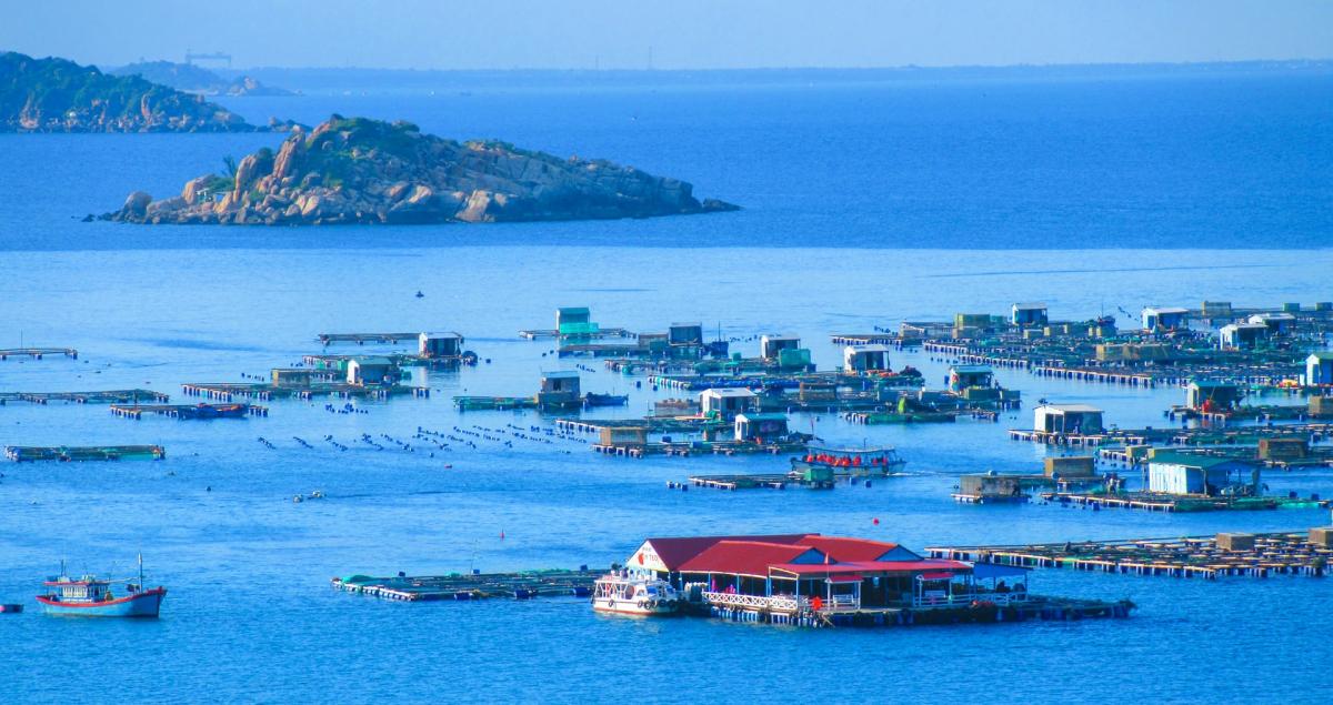 Vịnh Vĩnh Hy | Khu nghỉ dưỡng Con Gà Vàng | Phan Rang