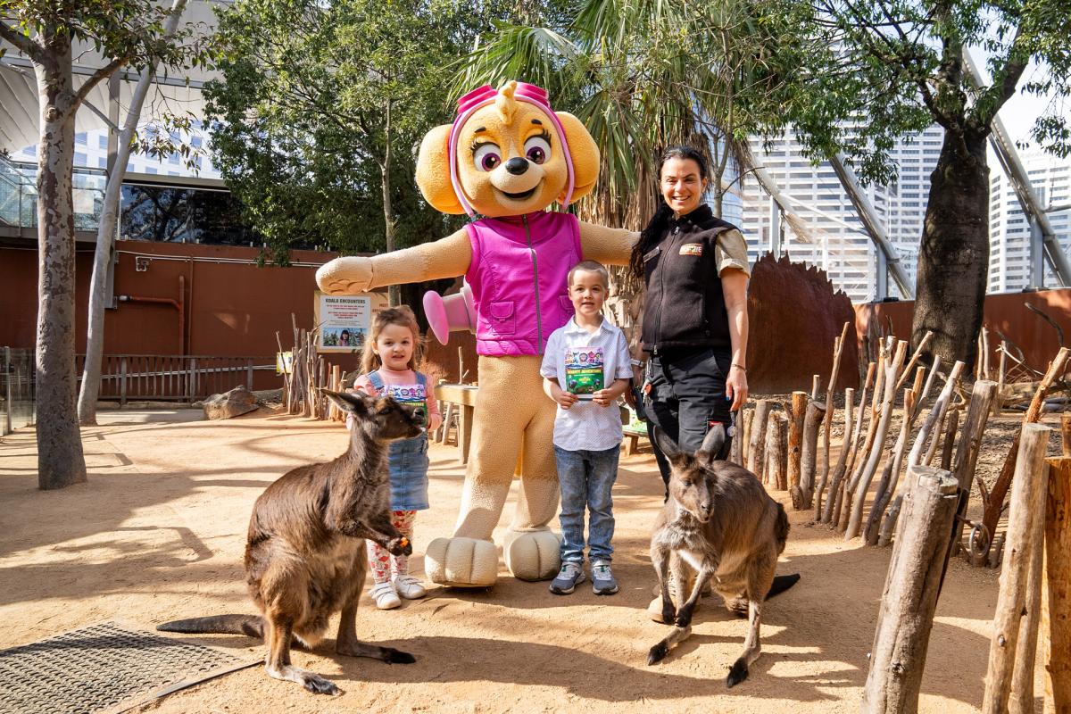 PAW Patrol at WILD LIFE Sydney Zoo | Darling Harbour