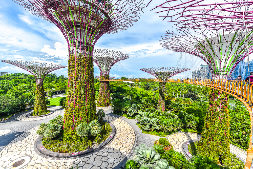 Gardens by the Bay — Park in Singapore: photos, description