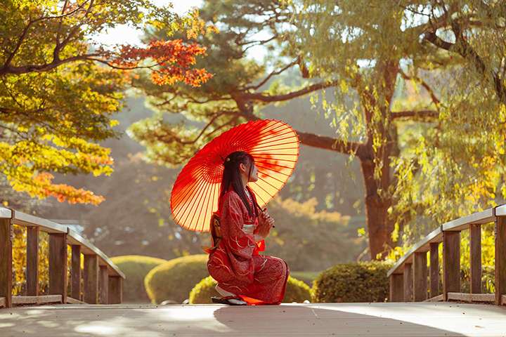 Công viên Shinjuku Gyoen - Hoàng Việt Travel