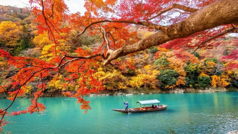 Cảnh sắc Hokkaido vào mùa thu - Hoàng Việt Travel