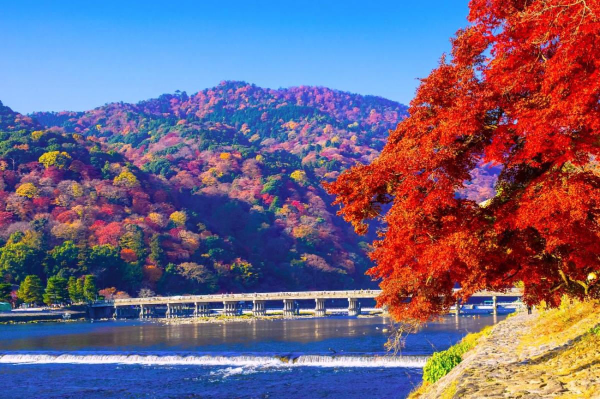 Cây cầu Togetsukyo vào mùa lá đỏ - Hoàng Việt Travel