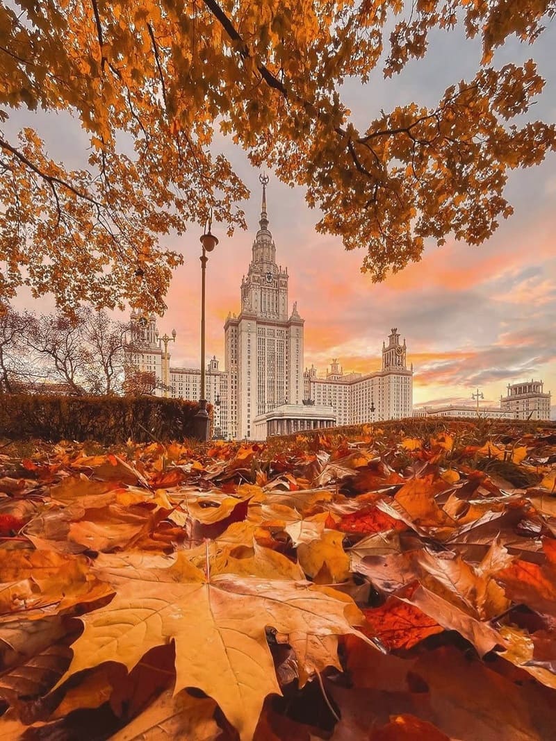 Cảnh sắc mùa thu với những tán lá cam và vàng phủ kín mặt đất. Một tòa nhà cao lớn, trang trí công phu đứng sừng sững dưới bầu trời hoàng hôn ấm áp, rực rỡ sắc màu.