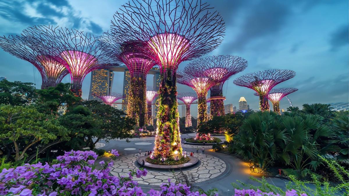 Khu vườn Gardens by the Bay mang phong cách tương lai ở Singapore với những cây Supertree cao chót vót, tỏa sáng trong ánh đèn tím và hồng lúc hoàng hôn, được bao quanh bởi cây xanh và hoa tươi tốt.