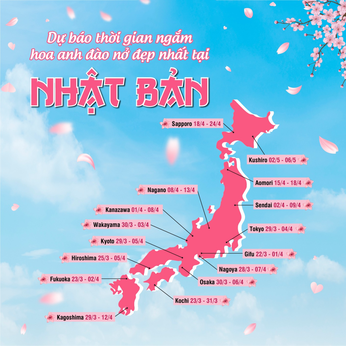 Tour nhật bản mùa hoa anh đào - hoàng việt travel