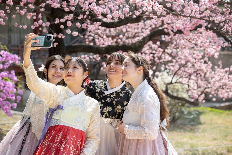 Tour tết hàn quốc - hoàng việt travel